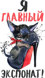 Женские_5