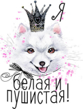 Женские_7