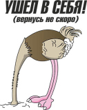 Разное_335